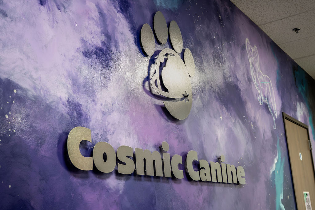 DSC00258 Cosmic Canine sign